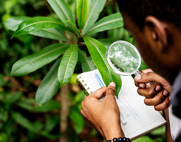 Negociação e Vendas